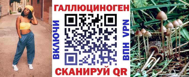 как найти наркотики  Черемхово  Псилоцибиновые грибы Magic Shrooms 
